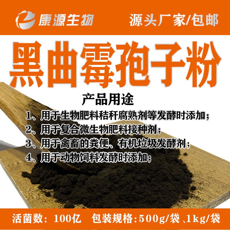 黑曲霉的黑色菌落培養(yǎng)物-圖_醫(yī)學(xué)教育網(wǎng)