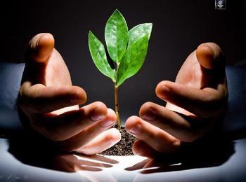 大電流變壓器盡在鵬鷹您的滿意是我們永恒的追求_大電流變壓器盡在鵬鷹您的滿意是我們永恒的追求價格_大電流變壓器盡在鵬鷹您的滿意是我們永恒的追求廠家_防盜、報警器材及系統(tǒng) 產(chǎn)品 中國橄欖油交易網(wǎng)-橄欖油價格 橄欖油團購 橄欖油行情 進口橄欖油