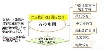 圖文解讀 職業(yè)教育與留學(xué)服務(wù)，上市公司布局全解析